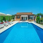 Owl Marvil - Exclusive Holidays *