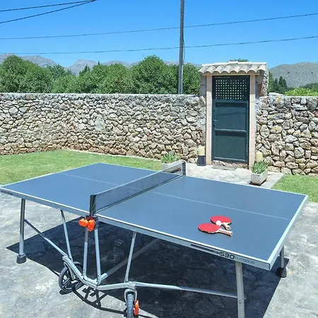 Owl Marvil - Exclusive Holidays *