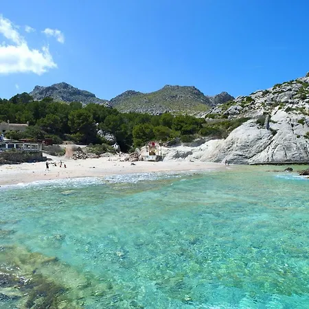 Owl Marvil - Exclusive Holidays *