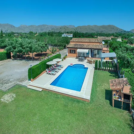 Owl Marvil - Exclusive Holidays *