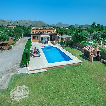 Owl Marvil - Exclusive Holidays *