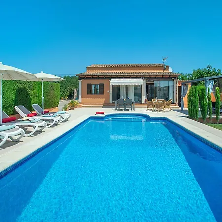 Owl Marvil - Exclusive Holidays *