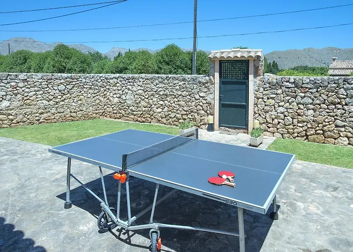 Owl Marvil - Exclusive Holidays *