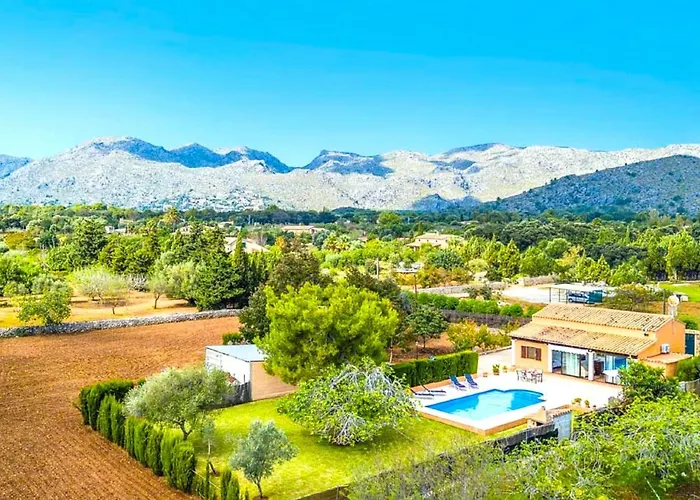 Owl Marvil - Exclusive Holidays Willa Pollensa