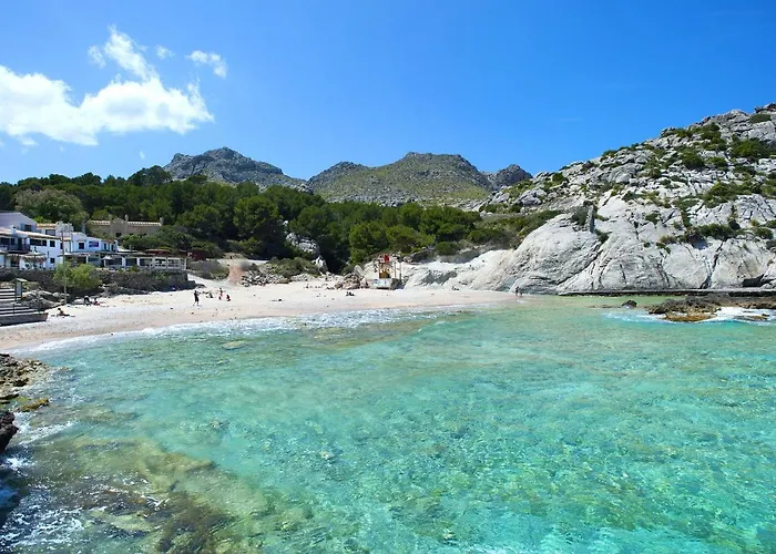 Owl Marvil - Exclusive Holidays *