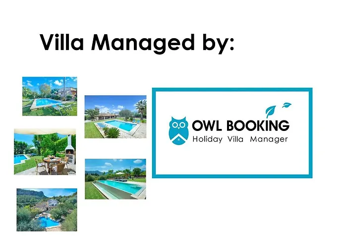 Owl Marvil - Exclusive Holidays Willa Pollensa