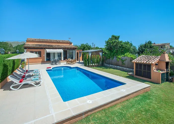 Willa Owl Marvil - Exclusive Holidays Pollensa