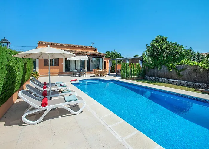 Owl Marvil - Exclusive Holidays Pollensa