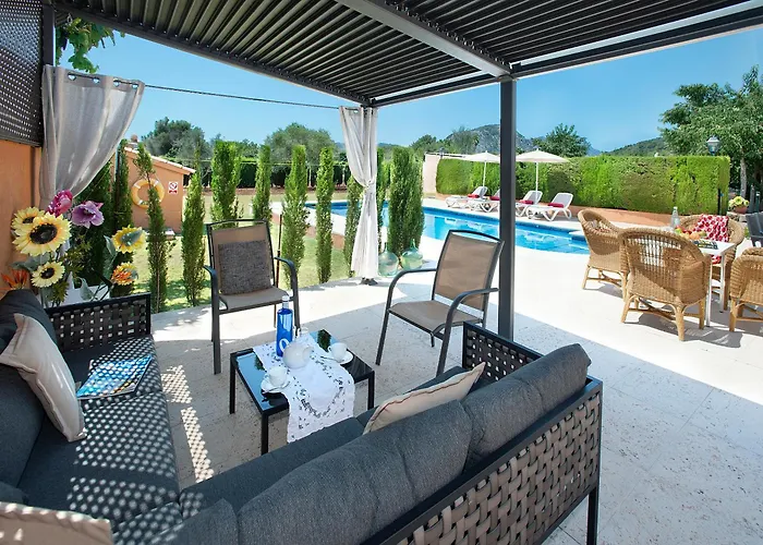 Owl Marvil - Exclusive Holidays