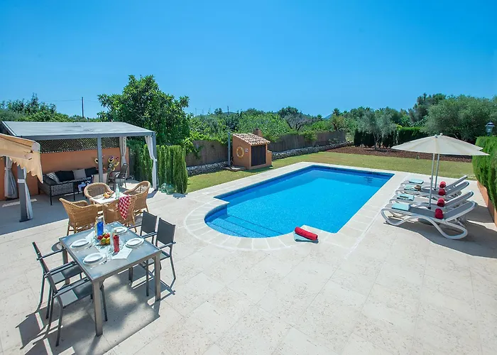 Willa Owl Marvil - Exclusive Holidays Pollensa