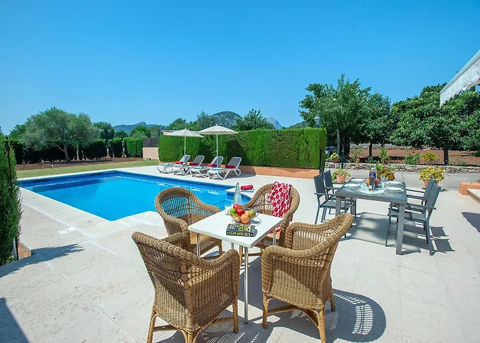 Owl Marvil - Exclusive Holidays